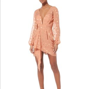 Michelle Mason Polka Dot Dress in Blush